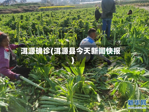 洱源确诊(洱源县今天新闻快报)